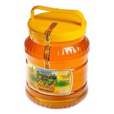 Мёд в пластиковом бидоне 3,0 кг липовый Башкирская медовня