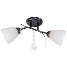 Люстра ЭкономСвет "53482/2AN WT". Черный