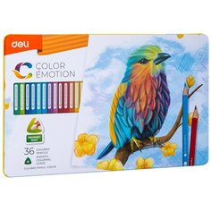 Карандаши цветные Deli EC00235A Color Emotion липа 36цв. мет.кор. 36шт
