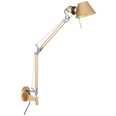 Светильник настенный Favourite Legend, 2840-1W, 60W, E27