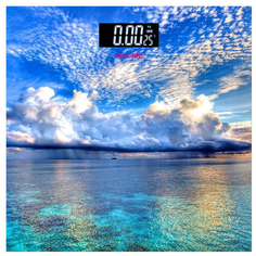 VC-524-03 Viconte Напольные весы 180кг