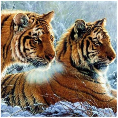 Алмазная мозаика вышивка Mazari "Два тигра" 20х25 см холст