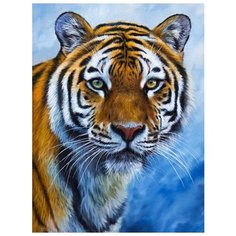 Картина по номерам "Глаза тигра", 20x30 см Molly