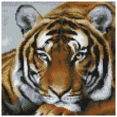 Алмазная мозаика "Задумчивый тигр", 30x30 см Molly