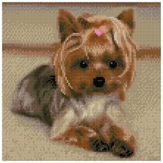 Алмазная мозаика "Щенок йорка", 30x30 см Molly