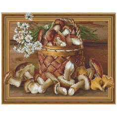 Алмазная мозаика 5D "Бузин. Натюрморт с грибами", 40x50 см Molly