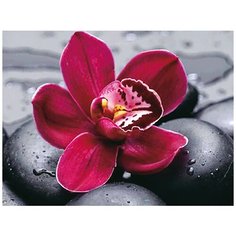 Алмазная мозаика-открытка "Цветок на камнях", 15x20 см Molly