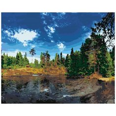 Картина по номерам «Домик у озера», 40x50 см, HOBRUK