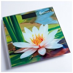 Весы напольные электронные василиса ВА-4011 Delta