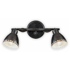 Спот (поворотный) Citilux Робуста CL509522