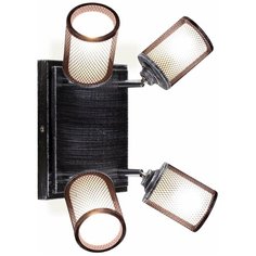 Спот поворотный Citilux Робин CL535541 Серебро Темное