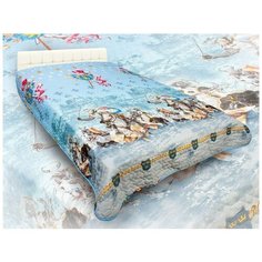 AlViTek Детское покрывало Rytsari br26453 (150х215 см) АльВиТек