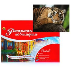 Раскраска по номерам Рыжий кот на картоне, А3, Тигр на дереве (Р-2270)