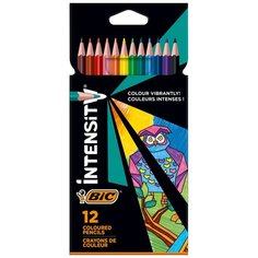 BIC Color Up Цветные карандаши, 12 цветов