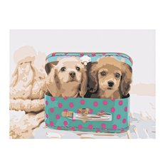 Рыжий кот Картина по номерам "Щенята в шкатулке" 40х50 см (Х-4705)