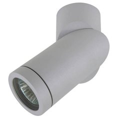 Спот Lightstar Illumo F 051019