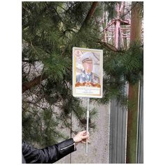 Бессмертный полк TDT-148-314116 Woozzee