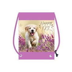 МО-28-2 Счастливчик мешок для обуви 1 отделения 370х470 мм Оникс