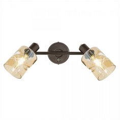 Citilux Спот Citilux Кингстон CL518520