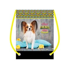 МО-28 Папильон дог мешок для обуви 1 отделения 370х470 мм Оникс