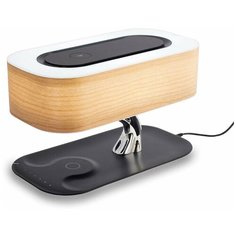 Настольная лампа Citilux Ньютон CL803042