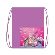 МО-23 Мешок для обуви 2-отд. Кот в бабочке с карманом Оникс