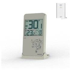 Цифровой термометр RST-02258