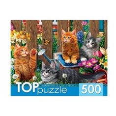 Пазлы 500эл "Котята Мейн-Кун"