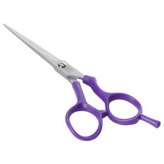 Прямые ножницы парикмахерские DEWAL Easy Step 9652SV 5.5", фиолетовый