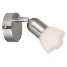 Спот Arte Lamp FALENA A3115AP-1SS, 40 Вт