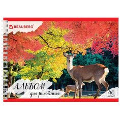 Альбом для рисования BRAUBERG Таинственный лес 29.7 х 21 см (A4), 100 г/м², 40 л.