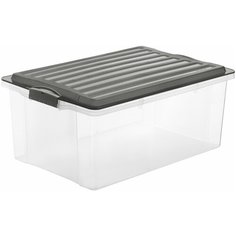 Контейнер 38,0л COMPACT 57*40*25 см Rotho