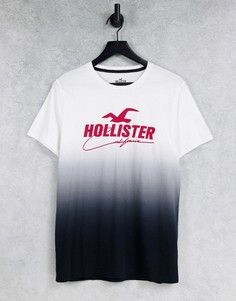 Футболка с эффектом омбре черного/белого цвета с логотипом спереди Hollister-Черный цвет