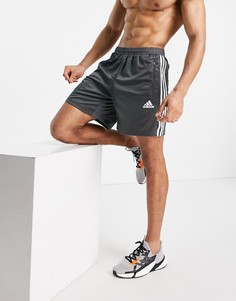 Серые шорты с 3 полосками adidas Training-Зеленый цвет