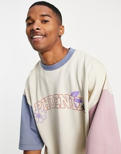 Oversized-футболка в стиле колор блок с принтом "Phoenix" ASOS DESIGN-Разноцветный