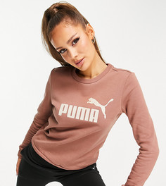 Коричневый свитшот с логотипом Puma Essentials-Коричневый цвет