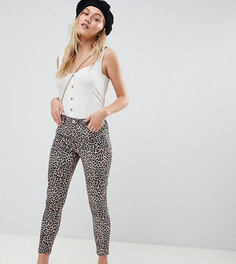 Облегающие брюки с леопардовым принтом Miss Selfridge Petite-Мульти