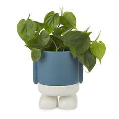 Кашпо керамическое для цветов Mr. Standy синее 20см Balvi