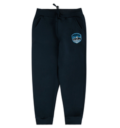 Спортивные брюки Cherubino