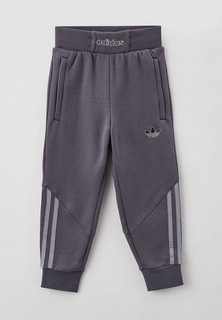 Брюки спортивные adidas Originals