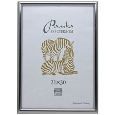 Рамка пластиковая А 4 серебряного цвета 513 Зебра