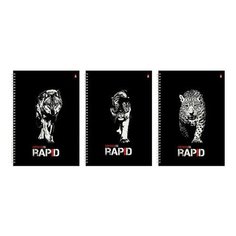 Тетрадь А4, 96 л., альт, гребень, клетка, глянцевая ламинация, "Rapid" (3 вида), 7-96-1122