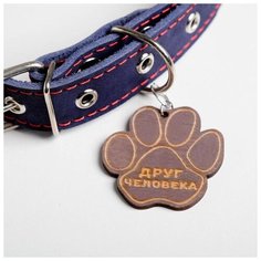 Ошейник кожаный Пушистое счастье однослойный, 31-46 см, 58*2,5 см, синий