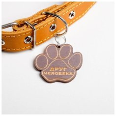 Ошейник кожаный Пушистое счастье однослойный, 30-50 см, 58*2,5 см, лимонный