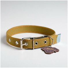 Ошейник брезентовый однослойный, 39 50см, 56*2,5 см Пушистое счастье
