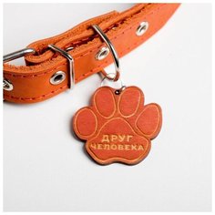 Ошейник кожаный Пушистое счастье однослойный, 36-52,5 см, 58*2,5 см, апельсин