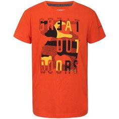 Футболка ICEPEAK размер 140, оранжевый