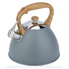 Чайник из нержавеющей стали Daniks MSY-079 3 л (голубой)