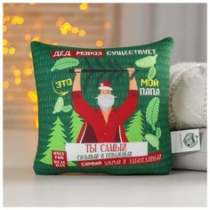 Mni mnu Подушка-антистресс «Дед Мороз существует», 20х20 см