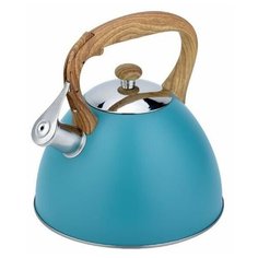 Чайник из нержавеющей стали Daniks MSY-079 3 л (голубой)